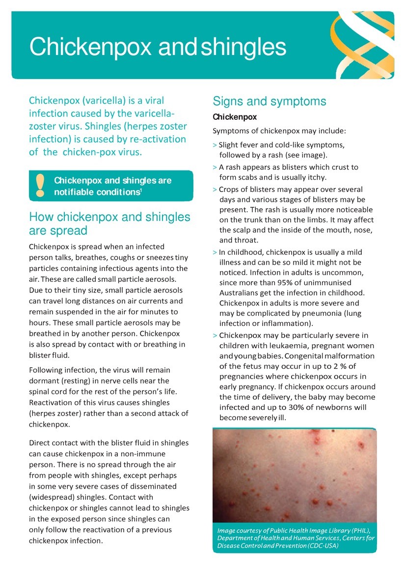 Chicken Pox and Shingles