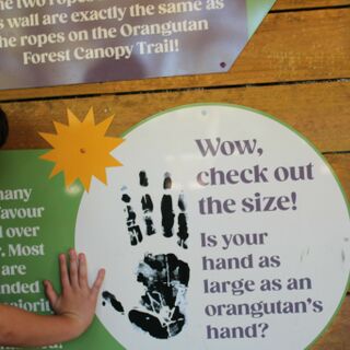 Yr 5 Zoo Excursion 3.jpeg